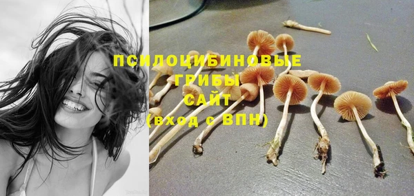 ГАЛЛЮЦИНОГЕННЫЕ ГРИБЫ Куйбышев