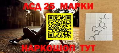 круглые Кингисепп