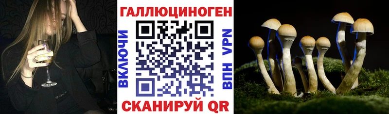 kraken маркетплейс Новокузнецк Галлюциногенные грибы прущие грибы купить наркотик