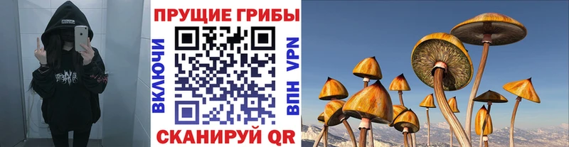Псилоцибиновые грибы GOLDEN TEACHER Новокузнецк
