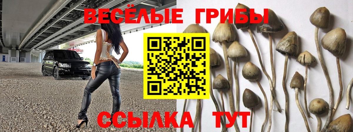 Псилоцибиновые грибы прущие грибы Новокузнецк