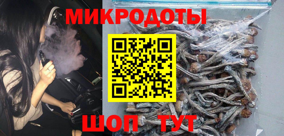 Псилоцибиновые грибы прущие грибы  Галлюциногенные грибы Psilocybine cubensis  Новокузнецк 