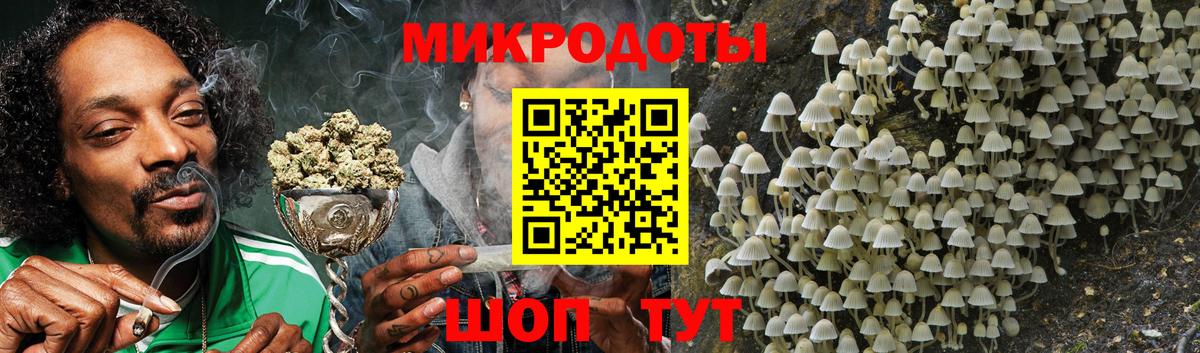 Псилоцибиновые грибы Psilocybe  Галлюциногенные грибы Psilocybe  Новокузнецк  Вход с VPN 