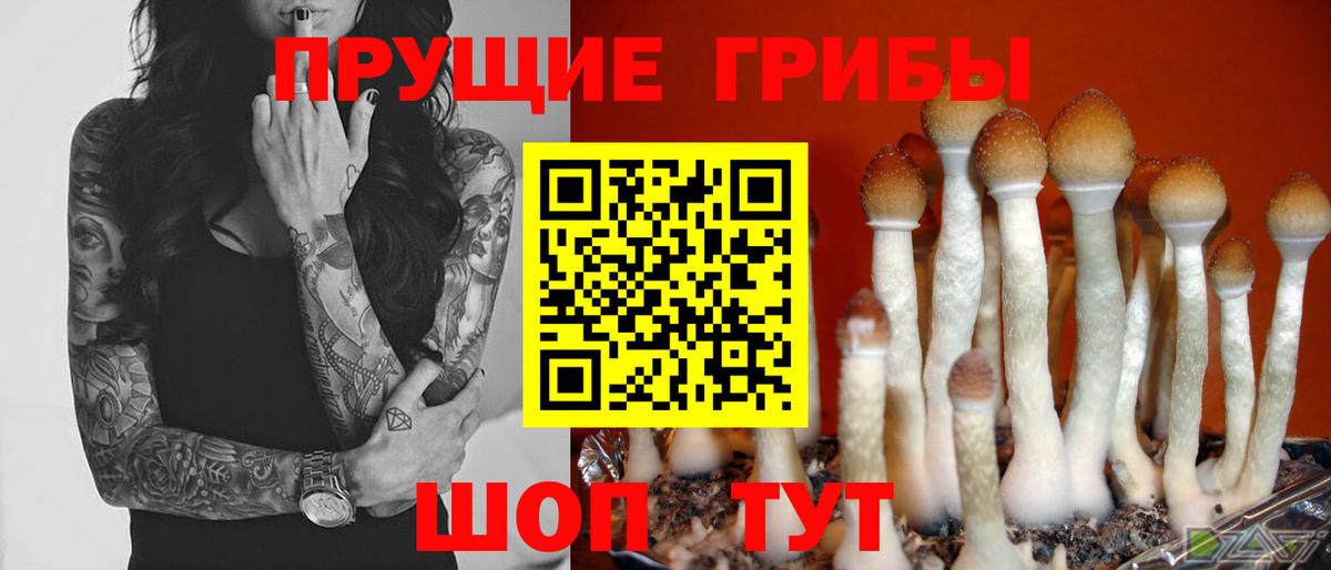 Cocaine  Цена  Меф кристаллы  Новокузнецк  Меф МЯУ МЯУ   ГАШ  Конопля  А ПВП СК кристаллы  МАРИХУАНА  ГАШ  МДМА 